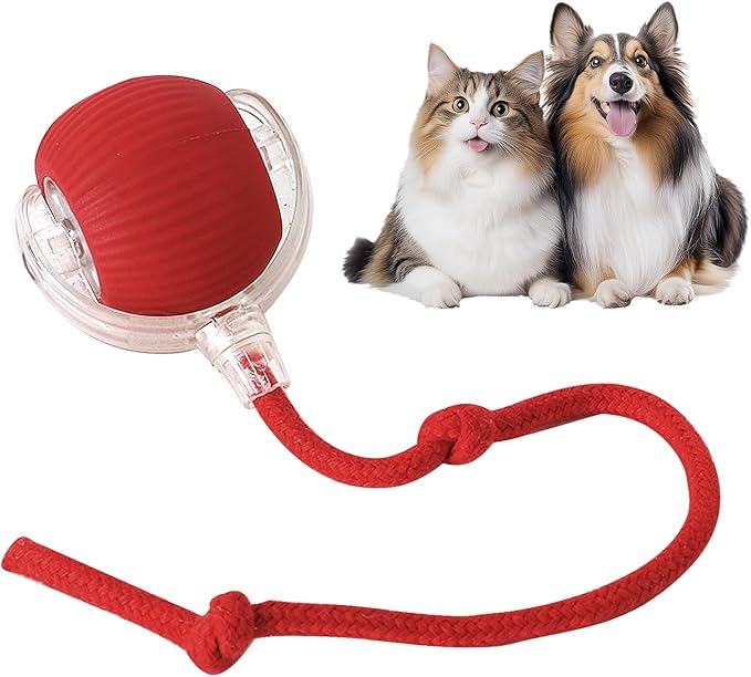 TailyBall V2 – El Juguete Perfecto de Verano para Gatos y Perros