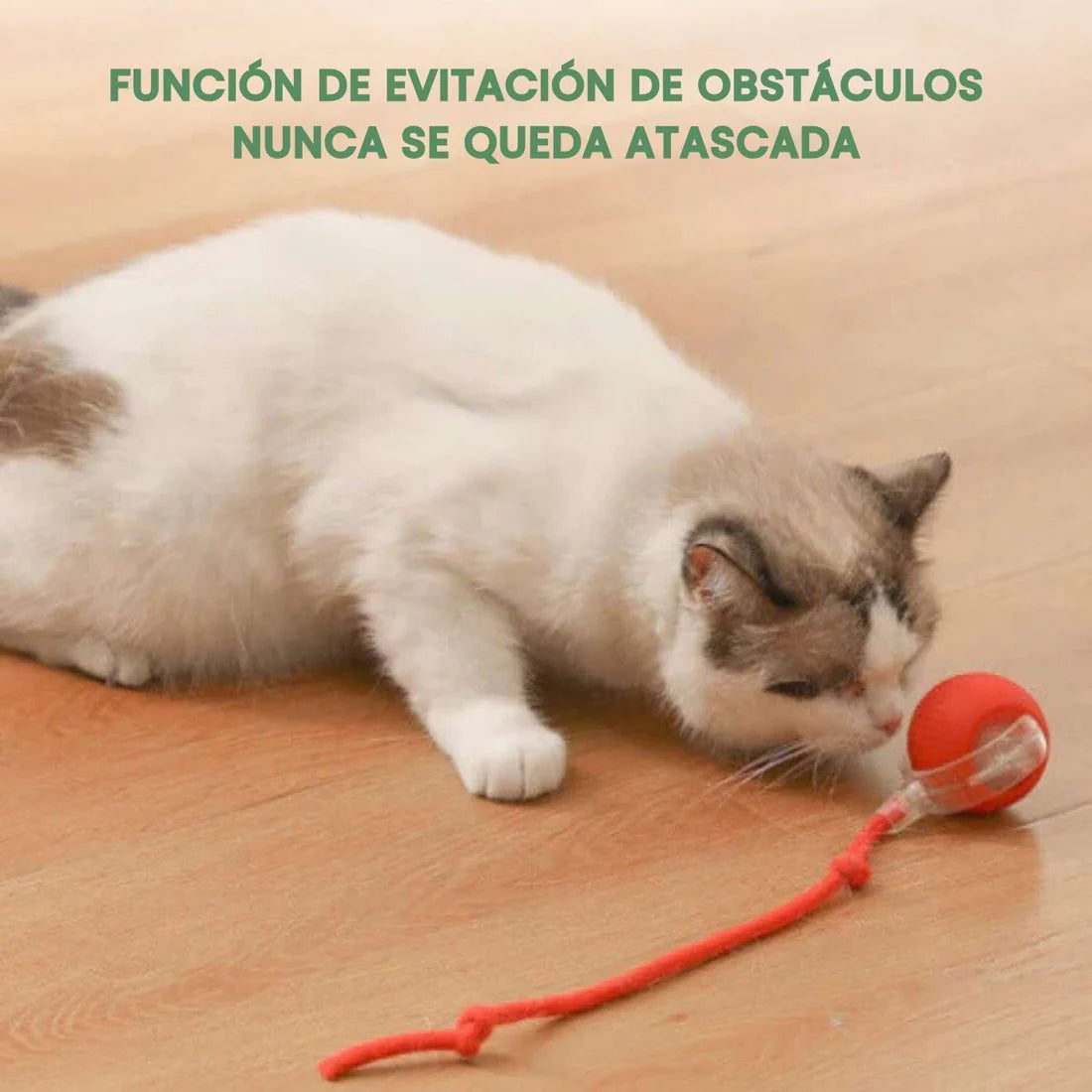 TailyBall V2 – El Juguete Perfecto de Verano para Gatos y Perros