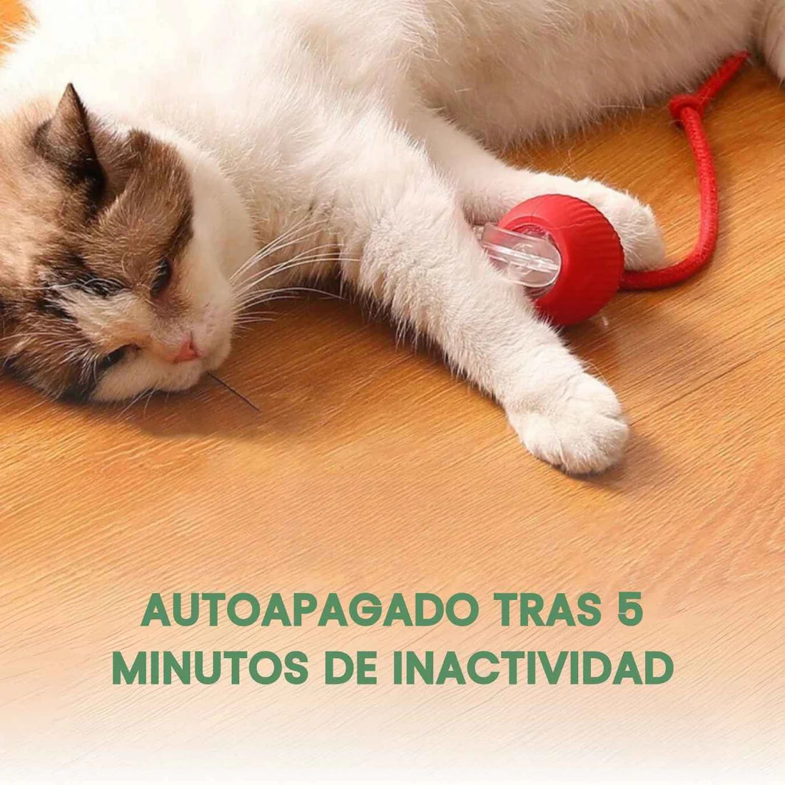 TailyBall V2 – El Juguete Perfecto de Verano para Gatos y Perros