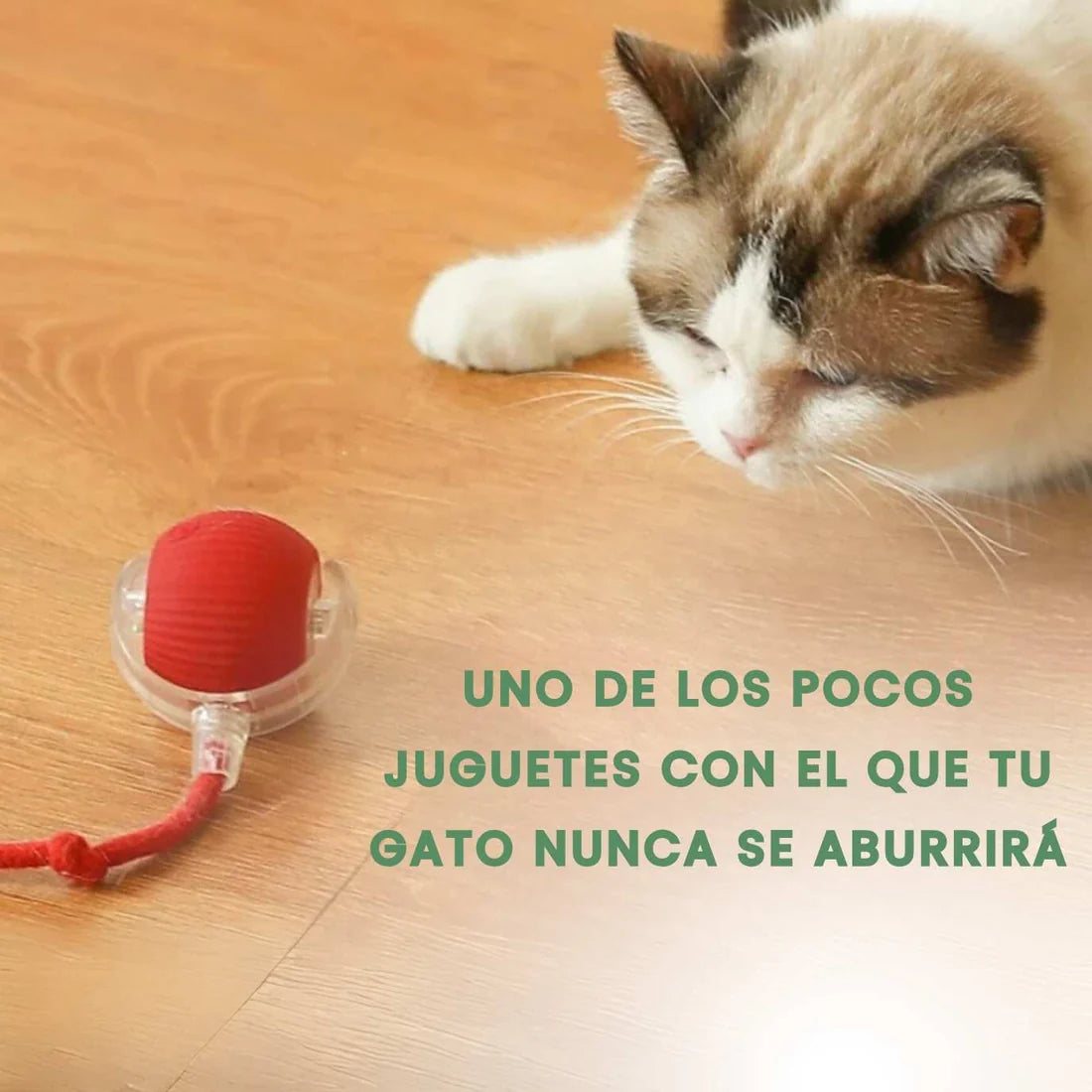 TailyBall V2 – El Juguete Perfecto de Verano para Gatos y Perros
