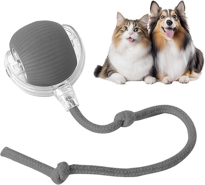 TailyBall V2 – El Juguete Perfecto de Verano para Gatos y Perros