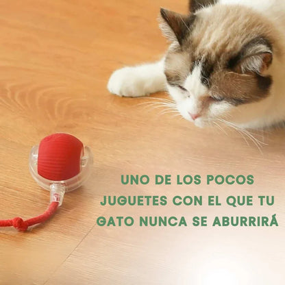 TailyBall V2 – El Juguete Perfecto de Verano para Gatos y Perros