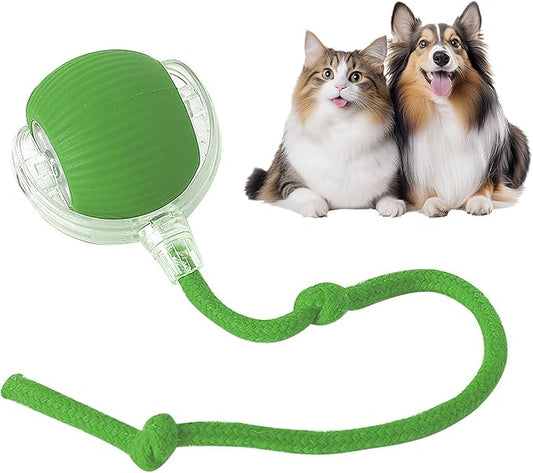 TailyBall V2 – O Juguete Perfeito de Verão para Gatos e Perros